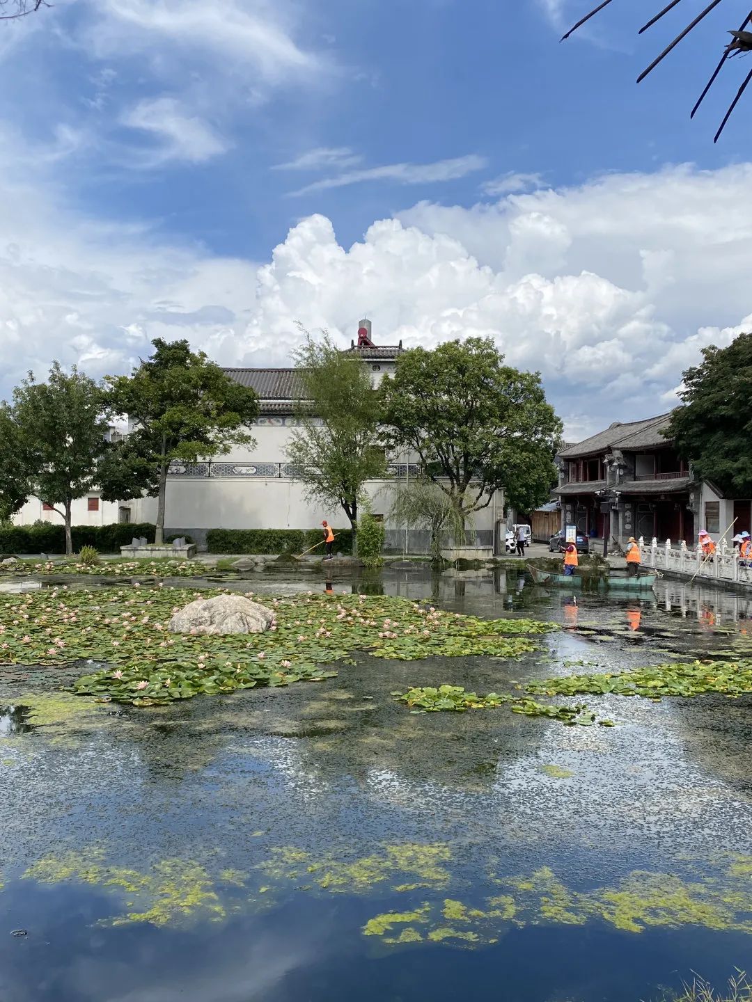 長沙卓爾謨教育科技有限公司