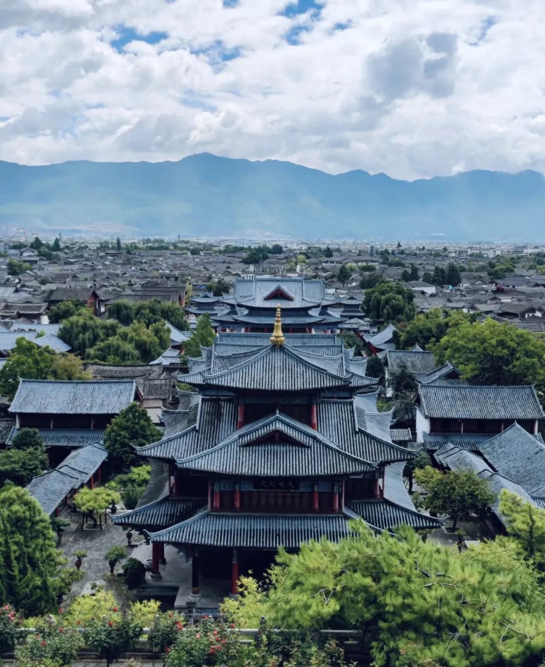 長沙卓爾謨教育科技有限公司